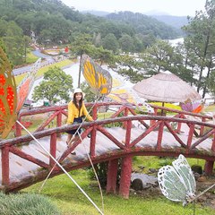 fangrong
