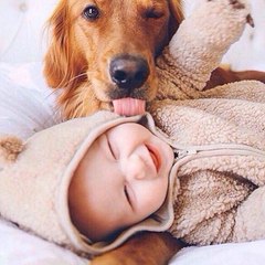 Baby House