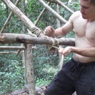 Primitive tecnology survive