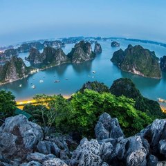 giả trí