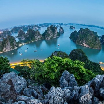 giả trí