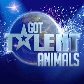 Animals Got Talent