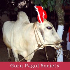 Goru Pagol Society