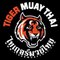 Tiger Muay Thai and MMA Training Camp, Phuket, Th