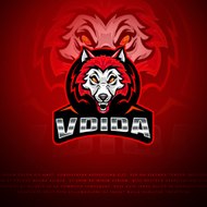 Vdida