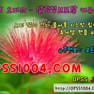 opss_2522