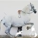 Ekeskogs Riding Academy