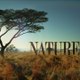 Nature in Full HD