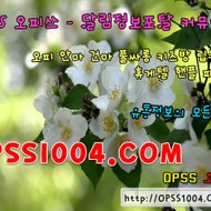 opss_5484