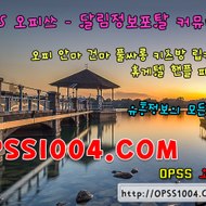 opss_6086