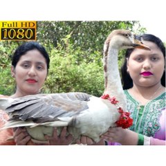 Food Village Factory