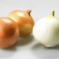 양파タマネギOnion TV