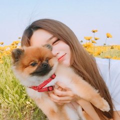 foxspp9611