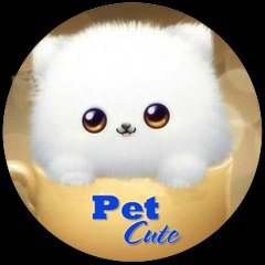 pet cute