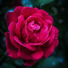 Tamil Videos