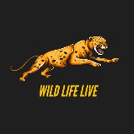 Wild Life Live