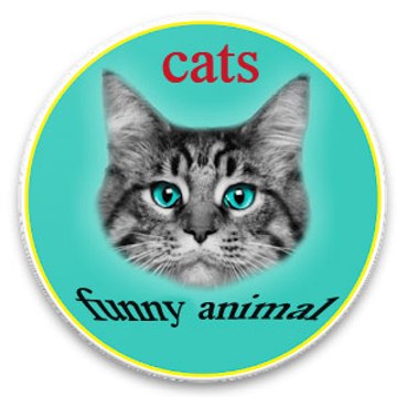 funny animal