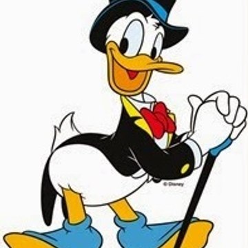 Donald präsentiert