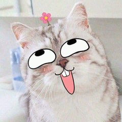 TĐCTG
