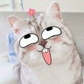 TĐCTG