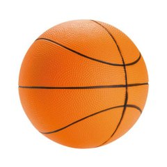 Basket PACA 2024, un projet au service des clubs