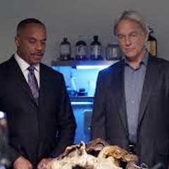 NCIS Season 16 Episode 10 - What Child Is This?