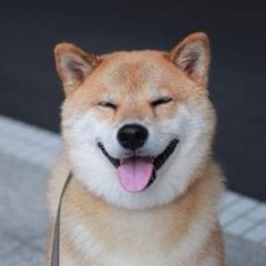 Animalcar