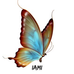 I AM My Imagination