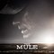 The Mule Full Movie / Online