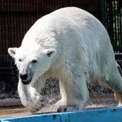 WORLD WILDLIFE