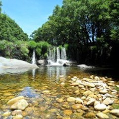 Natureza e Animais