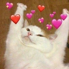 multifandom uploads