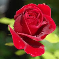 Lalitsiwag0222