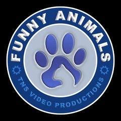 Funny Animals