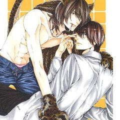 Yaoi Euphoria