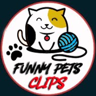 FunnyPetsClips