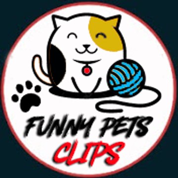 FunnyPetsClips
