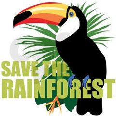 Save The Rainforest