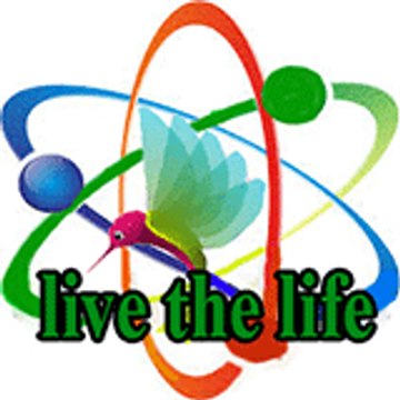 live the life