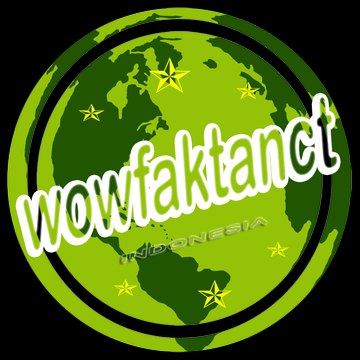 WOWFAKTANCT