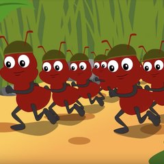 Ants Marching
