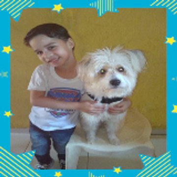 DOBBY AMO E CUIDO