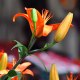 creative photos & fine art