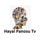 hayal panosu tv