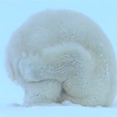 市毛 悪枝