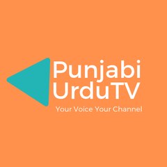 Punjabi Urdu TV