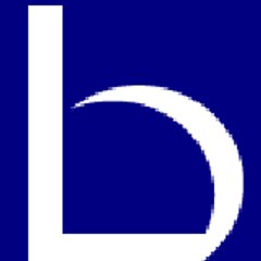 Burgess Inspection Group