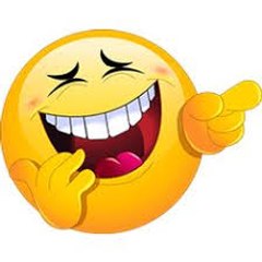funny videos