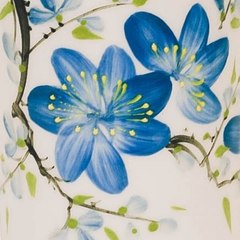 Hoang Van Vien