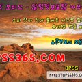 gnz6ek9c